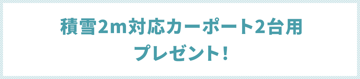 積雪2m対応のカーポート2台用 プレゼント！